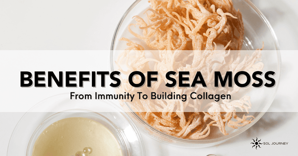 Irish Sea Moss Benefits From Immunity To Building Collagen